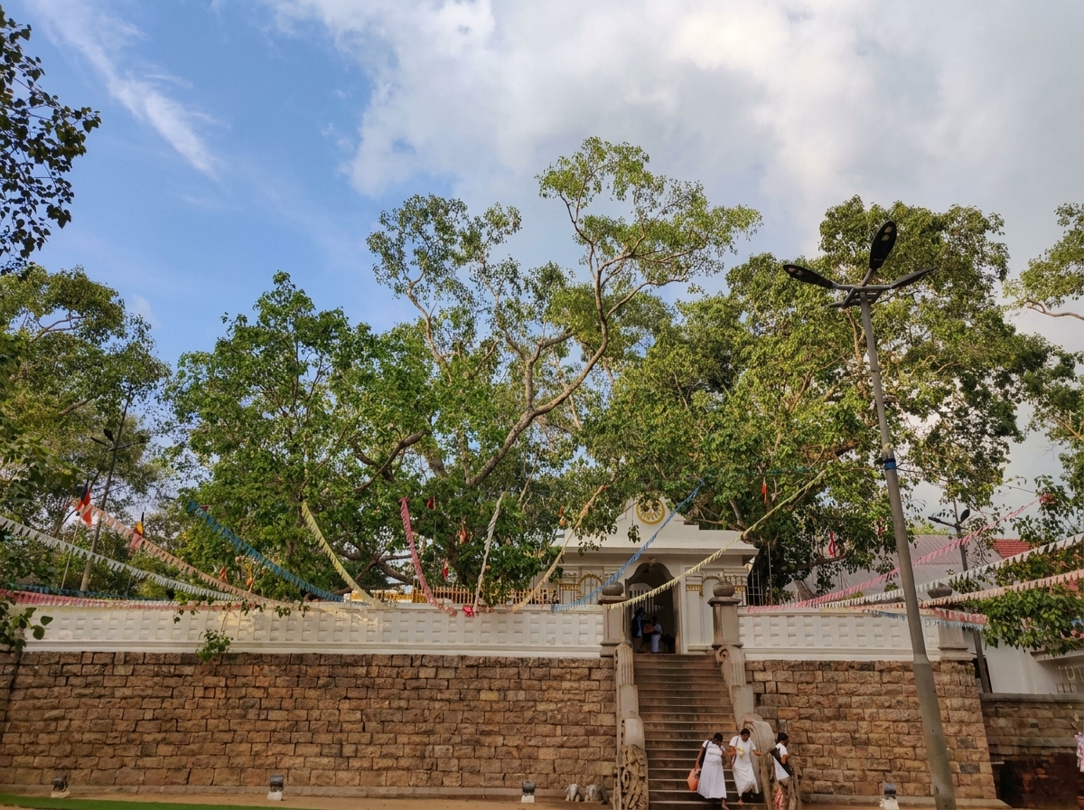 The Path of Arahat Mahinda