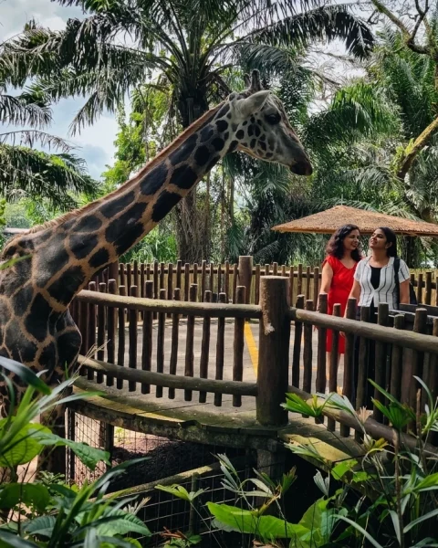 Singapore (1)